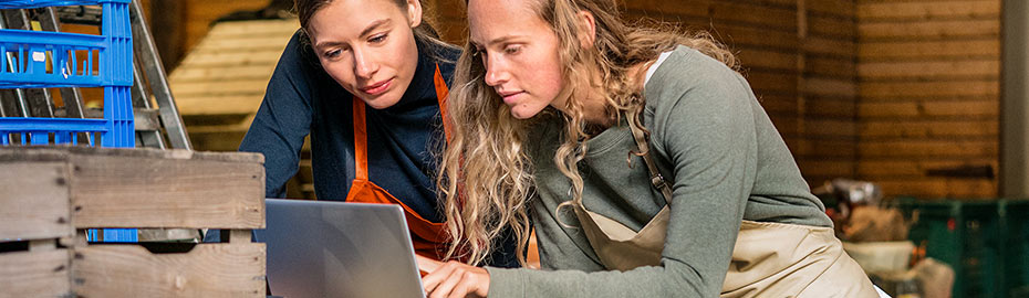 Online Banking Firmenkunden Hannoversche Volksbank Eg